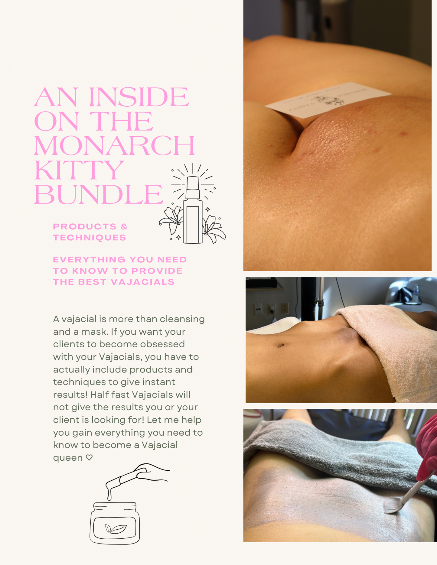 Monarch Kitty Bundle Ebook